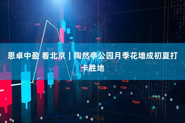 恩卓中盈 看北京｜陶然亭公园月季花墙成初夏打卡胜地