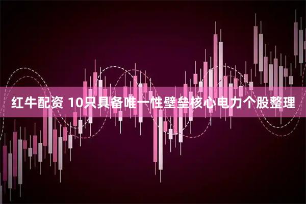 红牛配资 10只具备唯一性壁垒核心电力个股整理